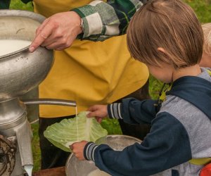Wykopki w Skansenie 2013 Wykopki w Skansenie 2013