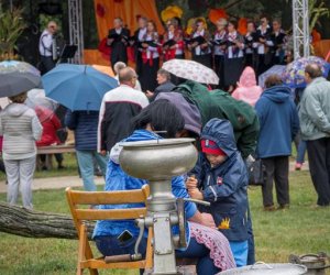 Jesień w Polu i Zagrodzie 2018 - fotorelacja Jesień w Polu i Zagrodzie 2018 - fotorelacja