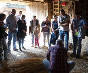 Jesień w polu i zagrodzie - fotorelacja - 15 września 2024