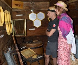 XVIII Podlaskie Święto Chleba - fotorelacja XVIII Podlaskie Święto Chleba - fotorelacja