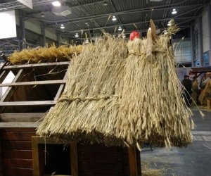 Narodowa Wystawa Rolnicza w Poznaniu Narodowa Wystawa Rolnicza w Poznaniu