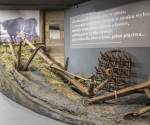 Dni Otwarte Funduszy Europejskich w Muzeum Rolnictwa im. ks. Krzysztofa Kluka w Ciechanowcu