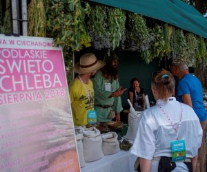 Muzeum na Pikniku Poznaj Dobrą Żywność
