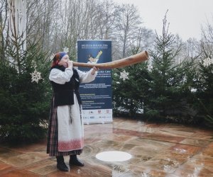 Ligawki 2017 - fotorelacja Ligawki 2017 - fotorelacja