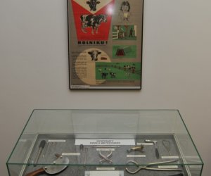 Wystawa z okazji jubileuszu 50-lecia Muzeum i 30 lat współpracy z SGGW pt."50 lat Muzeum Rolnictwa im. ks. Krzysztofa Kluka w Ciechanowcu" Wystawa z okazji jubileuszu 50-lecia Muzeum i 30 lat współpracy z SGGW pt."50 lat Muzeum Rolnictwa im. ks. Krzysztofa Kluka w Ciechanowcu"