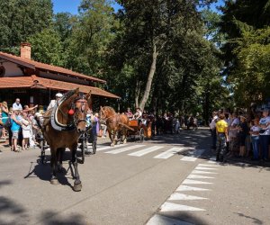 XVIII Podlaskie Święto Chleba - fotorelacja XVIII Podlaskie Święto Chleba - fotorelacja