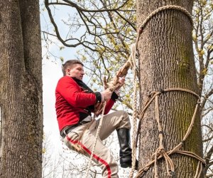 Jarmark św. Wojciecha 2016 Jarmark św. Wojciecha 2016