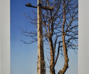 Kongres poświęcony kulturze Kongres poświęcony kulturze