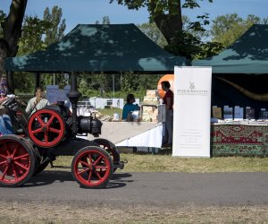 Piknik "Poznaj Zdrową Żywność" - fotorelacja