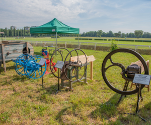 "Piknik Poznaj Dobrą Żywność" - Służewiec - 26 maja 2024 r. - fotorelacja