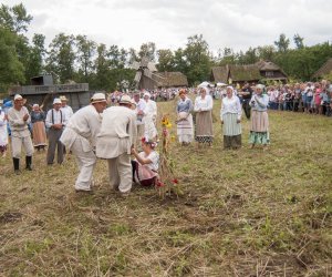 XVI Podlaskie Święto Chleba XVI Podlaskie Święto Chleba