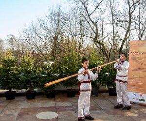 Galeria z 5 grudnia 2015 Galeria z 5 grudnia 2015