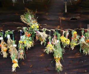 VIII PODLASKIE ŚWIĘTO CHLEBA VIII PODLASKIE ŚWIĘTO CHLEBA