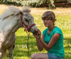 Odpust na św. Antoniego Odpust na św. Antoniego
