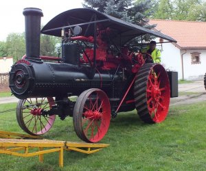 Unikatowe eksponaty przyjechały do ciechanowieckiego Muzeum