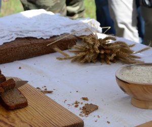 XVIII Podlaskie Święto Chleba - fotorelacja XVIII Podlaskie Święto Chleba - fotorelacja