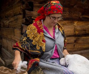 Jesień w Polu i Zagrodzie 2018 - fotorelacja Jesień w Polu i Zagrodzie 2018 - fotorelacja