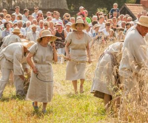Święto Chleba po raz trzynasty Święto Chleba po raz trzynasty