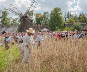 XXII Podlaskie Święto Chleba - fotorelacja XXII Podlaskie Święto Chleba - fotorelacja