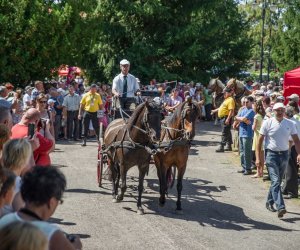 XV Podlaskie Święta Chleba w Muzeum Rolnictwa im. ks. Krzysztofa Kluka w Ciechanowcu XV Podlaskie Święta Chleba w Muzeum Rolnictwa im. ks. Krzysztofa Kluka w Ciechanowcu