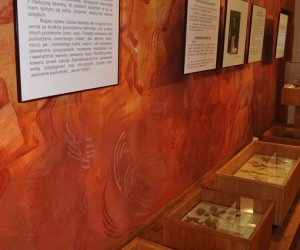 Odnowiona ekspozycja Muzeum Weterynarii Odnowiona ekspozycja Muzeum Weterynarii