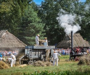 XVIII Podlaskie Święto Chleba - fotorelacja XVIII Podlaskie Święto Chleba - fotorelacja