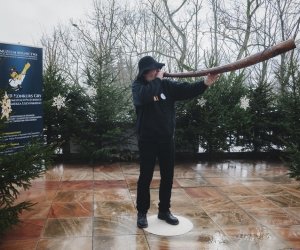 Ligawki 2017 - fotorelacja Ligawki 2017 - fotorelacja