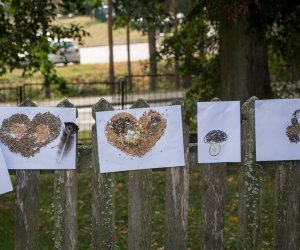 Jesień w Polu i Zagrodzie 2018 - fotorelacja Jesień w Polu i Zagrodzie 2018 - fotorelacja