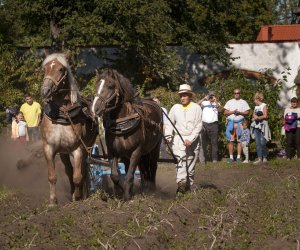 JESIEŃ W POLU I ZAGRODZIE w ramach Europejskich Dni Dziedzictwa 18 września 2016 r. JESIEŃ W POLU I ZAGRODZIE w ramach Europejskich Dni Dziedzictwa 18 września 2016 r.