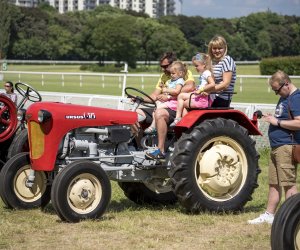 Piknik "Poznaj Zdrową Żywność" - fotorelacja