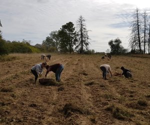 Tłoka w Muzeum Rolnictwa im. ks. Krzysztofa Kluka w Ciechanowcu 17 września 2019 r. Tłoka w Muzeum Rolnictwa im. ks. Krzysztofa Kluka w Ciechanowcu 17 września 2019 r.