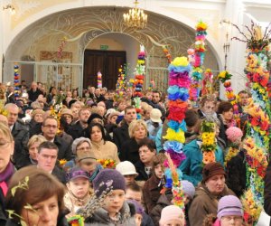 Galeria - Niedziela Palmowa 2012 Galeria - Niedziela Palmowa 2012