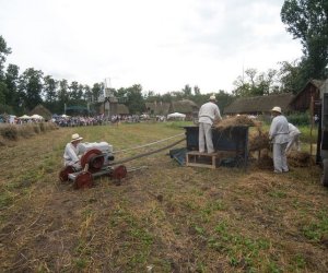 XVII Podlaskie Święto Chleba - fotorelacja XVII Podlaskie Święto Chleba - fotorelacja
