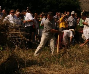 IX Podlaskie Święto Chleba IX Podlaskie Święto Chleba