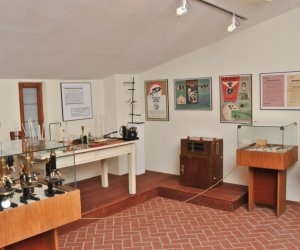 Odnowiona ekspozycja Muzeum Weterynarii Odnowiona ekspozycja Muzeum Weterynarii