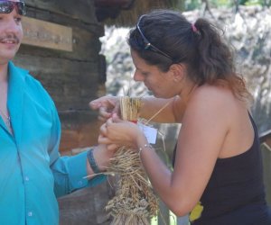 IX Podlaskie Święto Chleba IX Podlaskie Święto Chleba