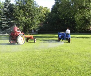Wyglądają przepięknie Wyglądają przepięknie