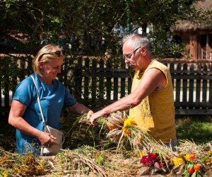XVIII Podlaskie Święto Chleba - fotorelacja XVIII Podlaskie Święto Chleba - fotorelacja