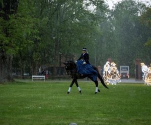 Noc Muzeów 2019 - fotorelacja Noc Muzeów 2019 - fotorelacja