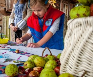 Jesień w polu i zagrodzie Jesień w polu i zagrodzie