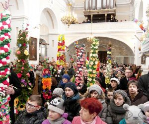 Galeria - Niedziela Palmowa 2013 Galeria - Niedziela Palmowa 2013