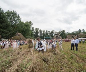 XVII Podlaskie Święto Chleba - fotorelacja XVII Podlaskie Święto Chleba - fotorelacja