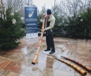 Ligawki 2018 Ligawki 2018