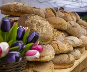 XXII Podlaskie Święto Chleba - fotorelacja XXII Podlaskie Święto Chleba - fotorelacja