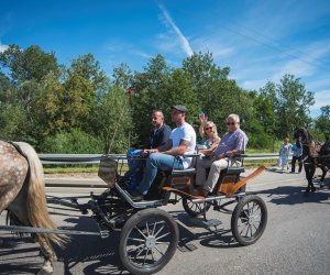 XVIII Podlaskie Święto Chleba - fotorelacja XVIII Podlaskie Święto Chleba - fotorelacja