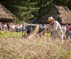 XVIII Podlaskie Święto Chleba - fotorelacja XVIII Podlaskie Święto Chleba - fotorelacja
