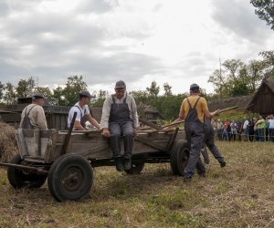 XVI Podlaskie Święto Chleba XVI Podlaskie Święto Chleba