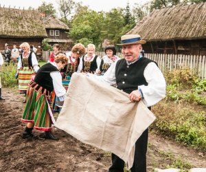 Wykopki w Skansenie 2013 Wykopki w Skansenie 2013