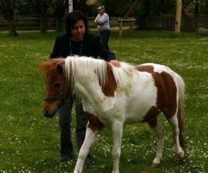 Początek wiosny w Muzeum Rolnictwa im. ks. K. Kluka w Ciechanowcu to czas dla zwierząt. Początek wiosny w Muzeum Rolnictwa im. ks. K. Kluka w Ciechanowcu to czas dla zwierząt.