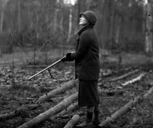 NIECOdziennik Muzealny- Na koń! Hrabia Starzeński i sztuka jazdy konnej NIECOdziennik Muzealny- Na koń! Hrabia Starzeński i sztuka jazdy konnej
